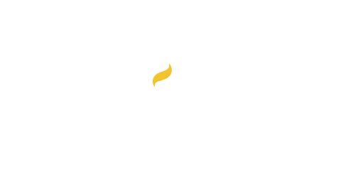 Origen Cultura Líquida
